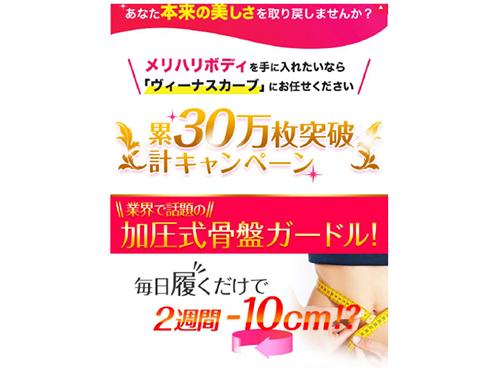 着用するだけで著しい痩身効果が得られるかのような広告表示を行っていた
